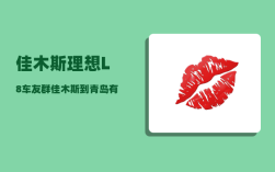 佳木斯理想L8车友群_佳木斯到青岛有高铁吗