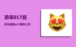 蔚来EC7延安车友群_ec7蔚来上市时间
