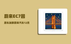 蔚来EC7固原车友群_蔚来汽车12月销量