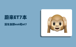 蔚来ET7本溪车友群_es6和et7怎么选