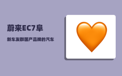蔚来EC7阜新车友群_国产品牌的汽车到底哪个品牌实力最强