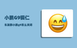 小鹏G9铜仁车友群_小鹏g9怎么关闭电源