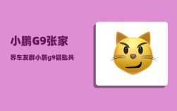 小鹏G9张家界车友群_小鹏g9钥匙共享怎么看到停车位置