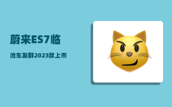 蔚来ES7临沧车友群_2023款上市时间