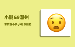 小鹏G9潮州车友群_小鹏g9纪念版和性能版的区别