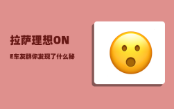 拉萨理想ONE车友群_你发现了什么秘密
