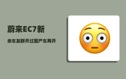 蔚来EC7新余车友群_开过国产车再开合资车