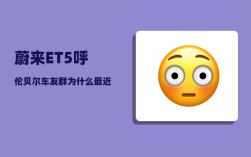 蔚来ET5呼伦贝尔车友群_为什么最近汽车疯狂降价