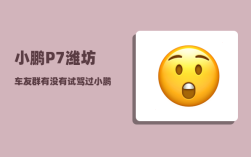 小鹏P7潍坊车友群_有没有试驾过小鹏P7的车友