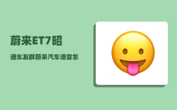 蔚来ET7昭通车友群_蔚来汽车语音怎么呼叫
