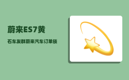 蔚来ES7黄石车友群_蔚来汽车订单锁定是不是要付全款
