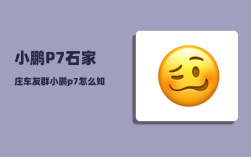 小鹏P7石家庄车友群_小鹏p7怎么知道自己是哪个版本