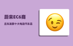 蔚来EC6商丘车友群_十大电动汽车品牌标识