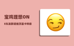 宝鸡理想ONE车友群_诺维茨基卡特德怀恩