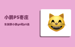 小鹏P5枣庄车友群_小鹏g6和p5选哪个