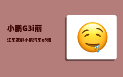 小鹏G3i丽江车友群_小鹏汽车g3泡水怎么处理