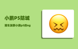 小鹏P5防城港车友群_小鹏p5怎么区分版本