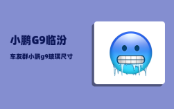 小鹏G9临汾车友群_小鹏g9玻璃尺寸