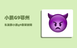 小鹏G9鄂州车友群_小鹏g9悬架故障怎么办