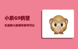 小鹏G9鹤壁车友群_小鹏授权账号可以看车辆位置吗