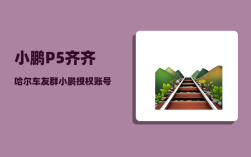 小鹏P5齐齐哈尔车友群_小鹏授权账号可以看车辆位置吗