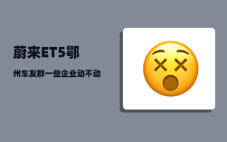 蔚来ET5鄂州车友群_一些企业动不动投资几百亿