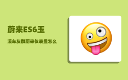 蔚来ES6玉溪车友群_蔚来仪表盘怎么调整