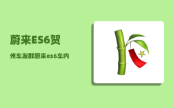 蔚来ES6贺州车友群_蔚来es6车内带不带录音功能