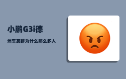 小鹏G3i德州车友群_为什么那么多人看上小鹏G3