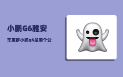 小鹏G6雅安车友群_小鹏g6是哪个公司