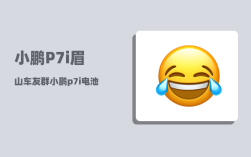 小鹏P7i眉山车友群_小鹏p7i电池是终身质保吗
