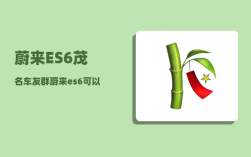蔚来ES6茂名车友群_蔚来es6可以远程操控吗