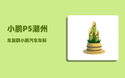 小鹏P5潮州车友群_小鹏汽车车标