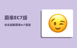 蔚来EC7绥化车友群_蔚来ec7首发版跟普通版