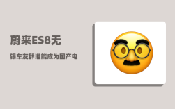 蔚来ES8无锡车友群_谁能成为国产电动车佼佼者