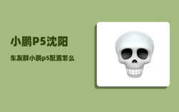 小鹏P5沈阳车友群_小鹏p5配置怎么选