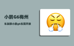 小鹏G6梅州车友群_小鹏g6东莞开放吗