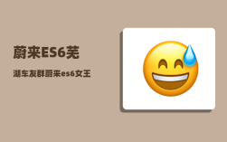 蔚来ES6芜湖车友群_蔚来es6女王座驾有必要吗
