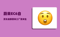 蔚来EC6自贡车友群_蔚来工厂周末生产吗