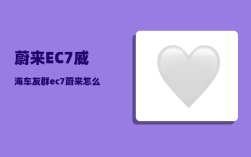 蔚来EC7威海车友群_ec7蔚来怎么连接AUX