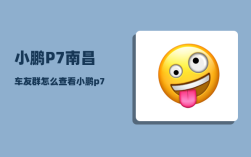 小鹏P7南昌车友群_怎么查看小鹏p7的配置
