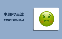 小鹏P7天津车友群_12月份小鹏p7销量怎么写