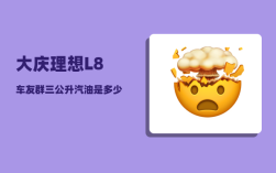 大庆理想L8车友群_三公升汽油是多少升