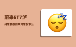 蔚来ET7泸州车友群_蔚来汽车旗下公司