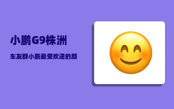 小鹏G9株洲车友群_小鹏最受欢迎的颜色