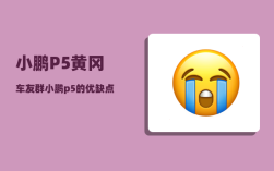小鹏P5黄冈车友群_小鹏p5的优缺点