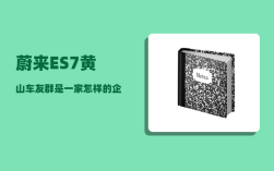蔚来ES7黄山车友群_是一家怎样的企业