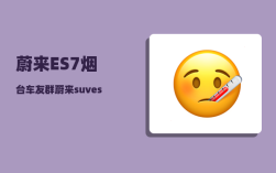 蔚来ES7烟台车友群_蔚来suves7顶什么位置