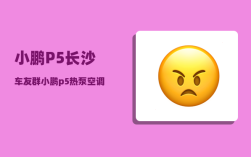 小鹏P5长沙车友群_小鹏p5热泵空调怎么启动