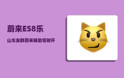 蔚来ES8乐山车友群_蔚来辅助驾驶开启方法